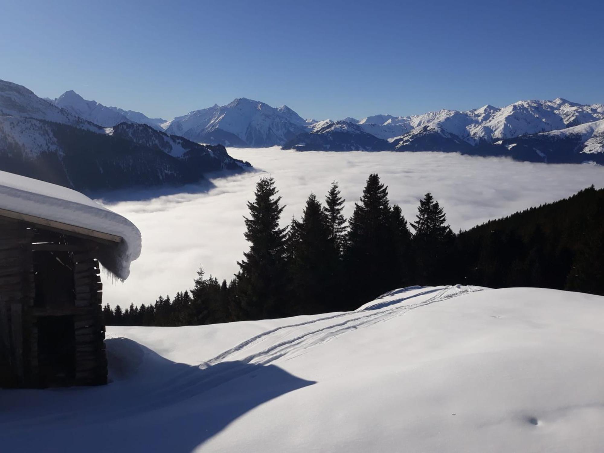Haus Viktoria Apartment Mayrhofen Exterior foto